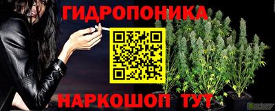 дурь Бийск