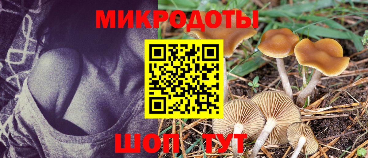 Гатчина  Галлюциногенные грибы ЛСД  Вход с VPN  Галлюциногенные грибы прущие грибы 
